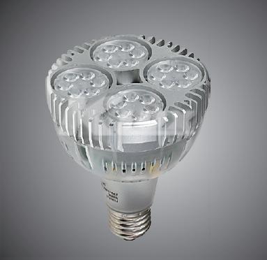 PAR30 LED-B